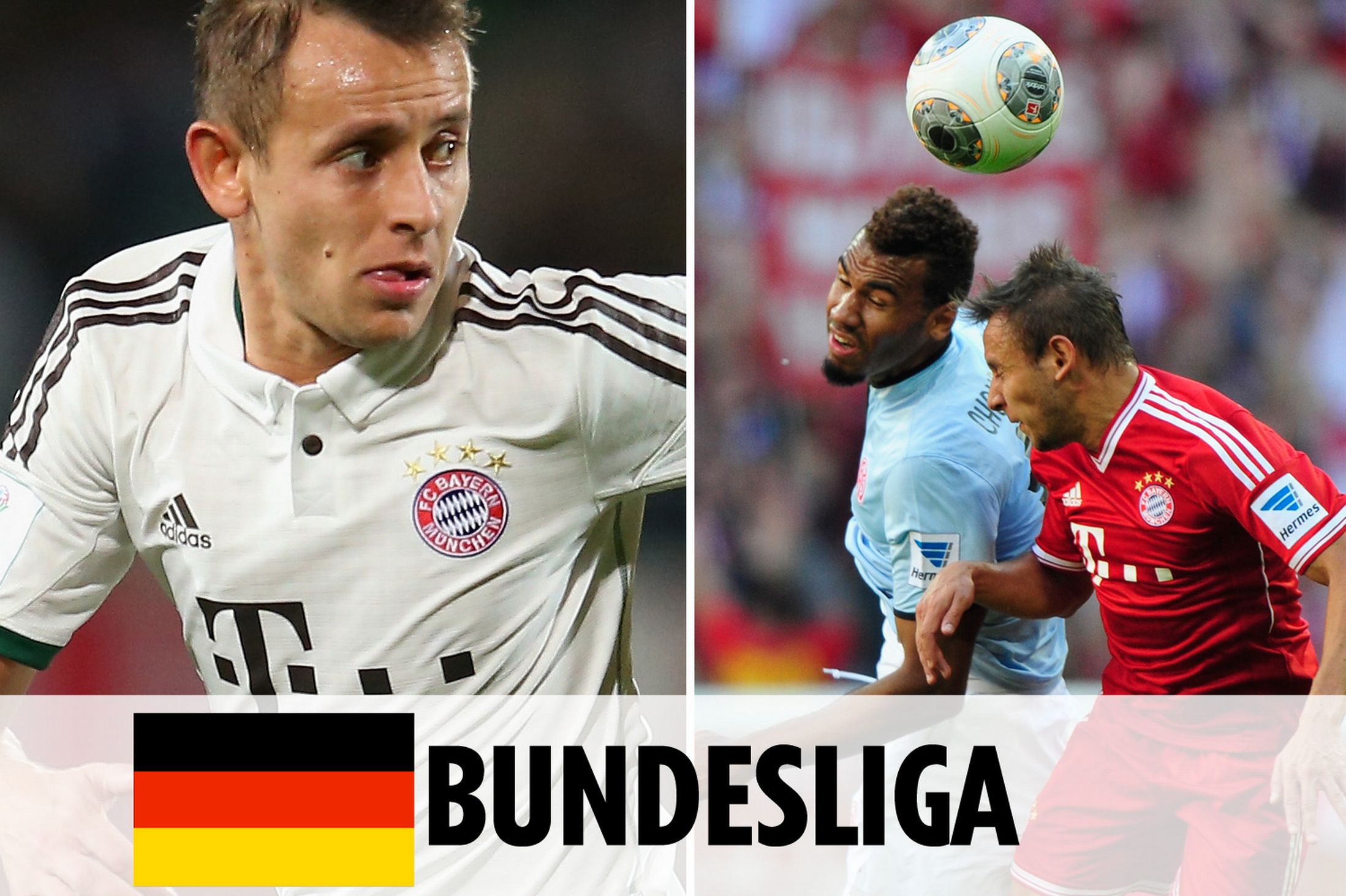 让它在搜索 让它在搜索