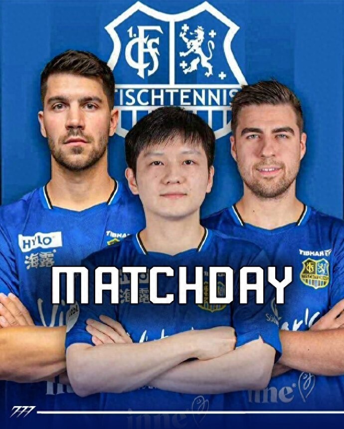 无疑为这个 无疑为这个